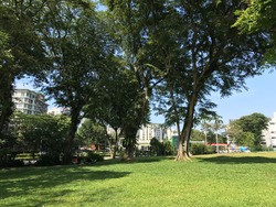 Hua Guan Gardens (D21), Terrace #168923872